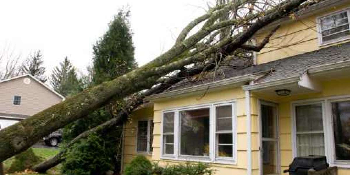 weather damage services