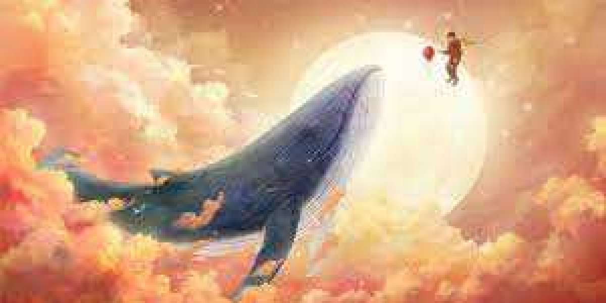 fjallraven mini kanken