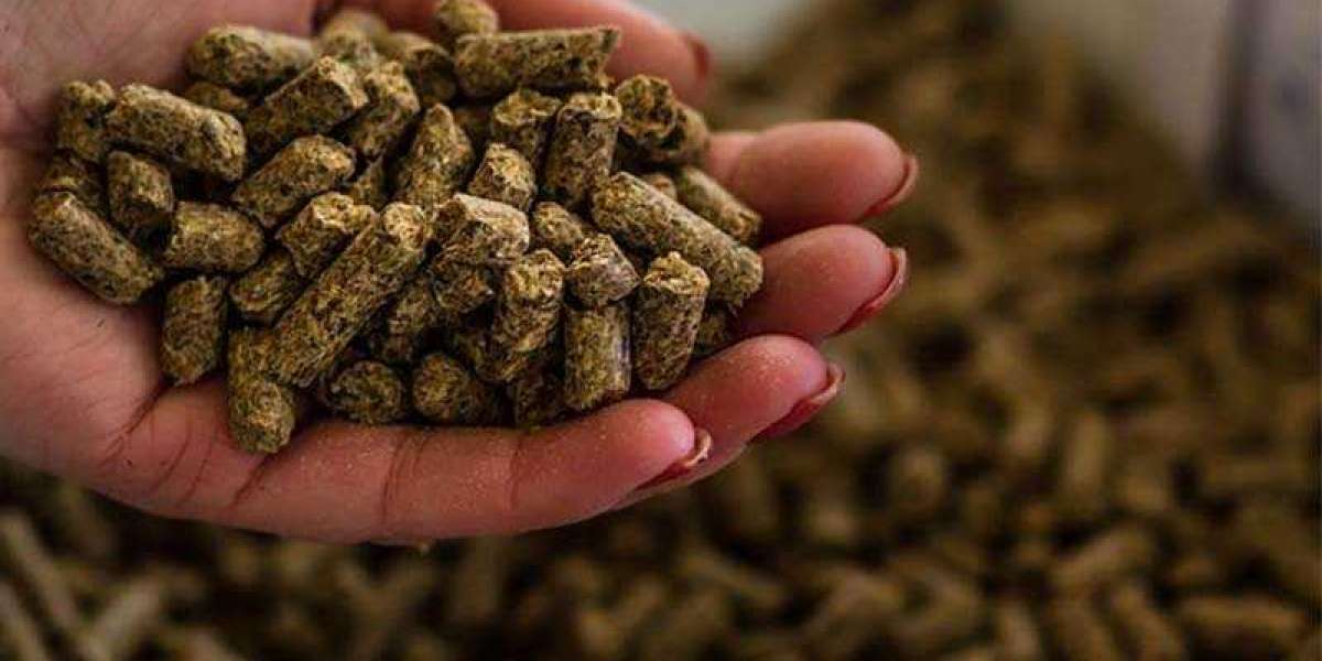 Animal Feed Antioxidants Market To Witness Outstanding Demand By 2028
