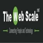 The Web Scale Profile Picture