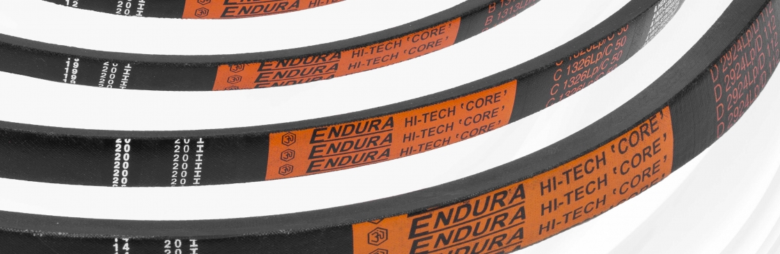 Endura Belts Cover Image