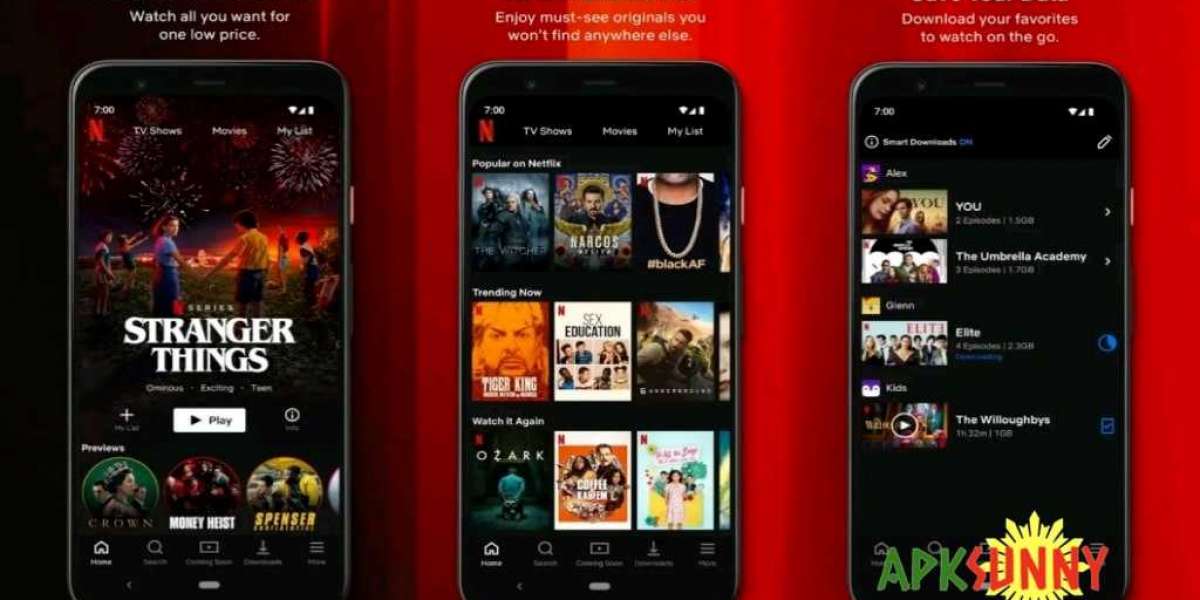 Netflix Hack Apk 2022 - Watch Unlimited Movies and TV Shows