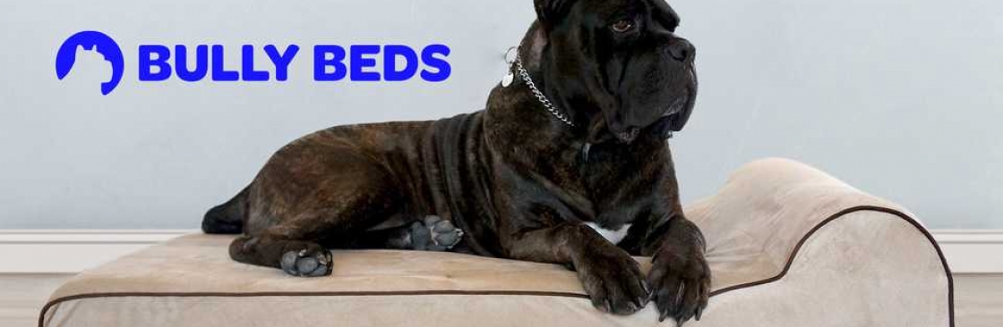 Bully Beds Cover Image