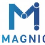 magnicpromo Profile Picture