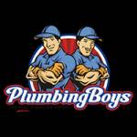 Plumbing boys Profile Picture