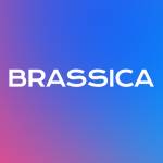 brassica finseo Profile Picture