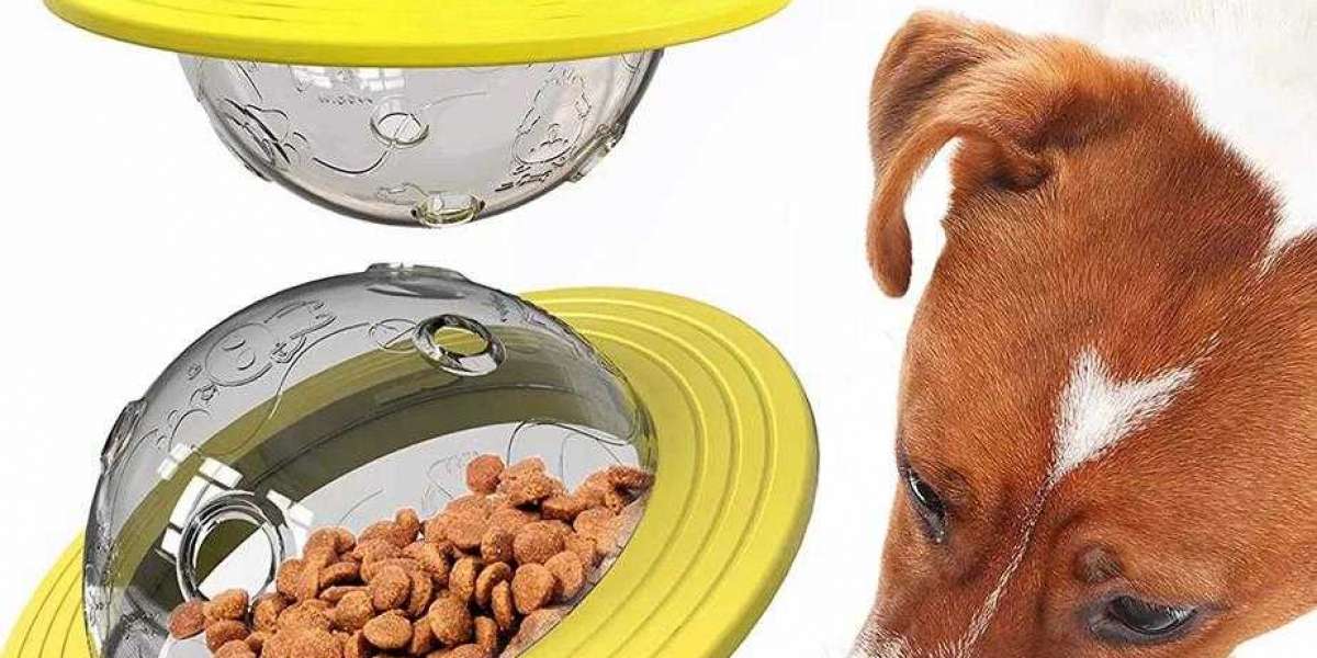 What Are The Benefits Of Having a Food Dispenser For Dogs To Play With?