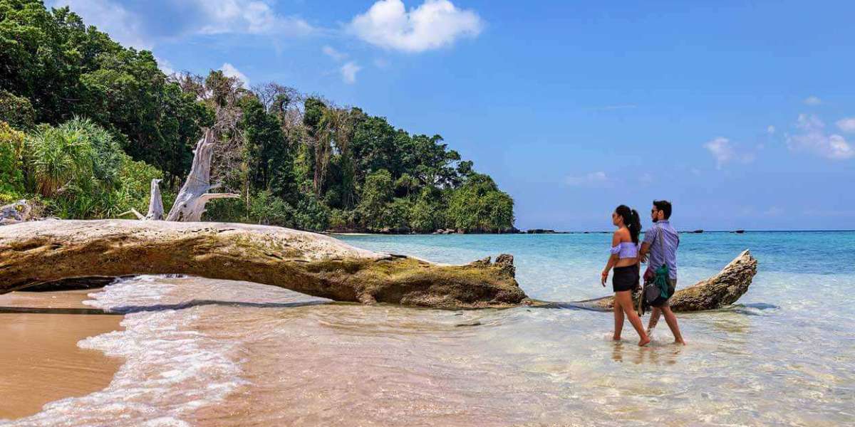 sightseeing tour packages Andaman