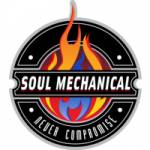 Soul Mechanical Ltd Profile Picture