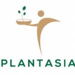 Plant Asia Profile Picture