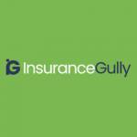 Insurance Gully Profile Picture