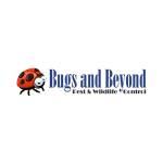 Bugs and Beyond Profile Picture