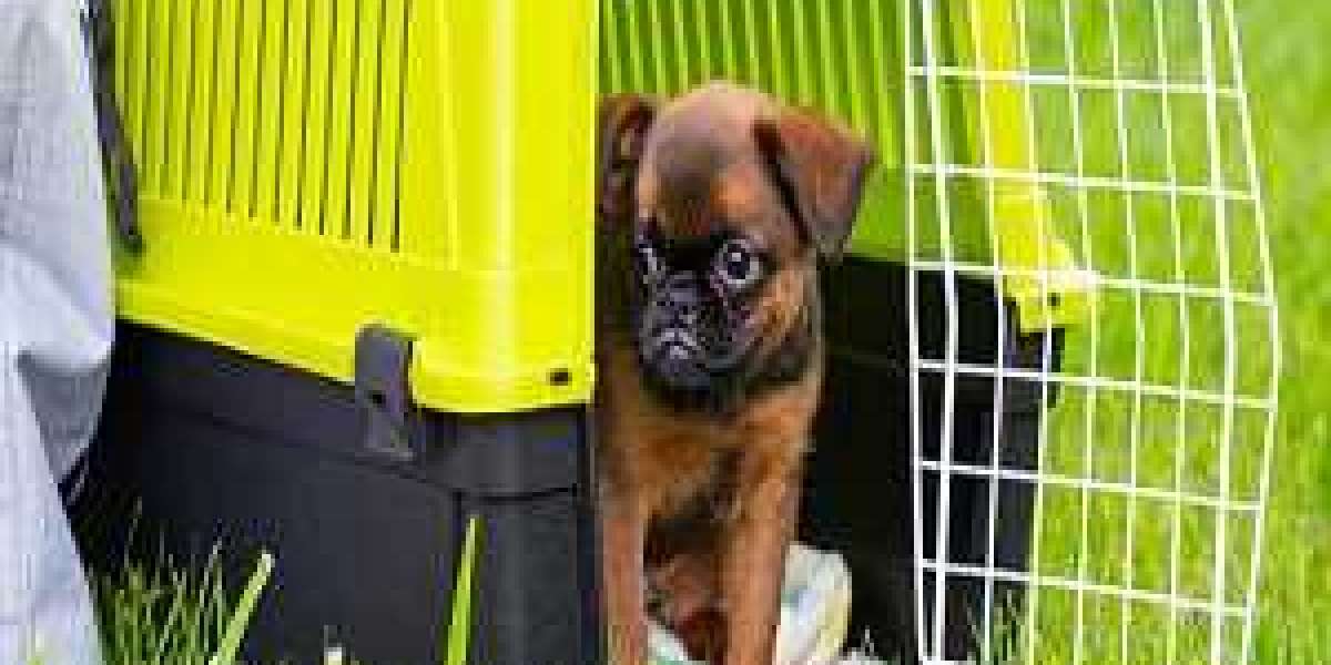 Pet Carriers Market By Type, By Application & Opportunities