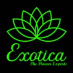 Exotica The Gifting Tree Profile Picture