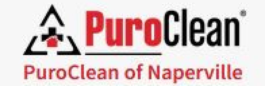 PuroClean of Naperville Cover Image