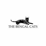 Bengal Cats Profile Picture