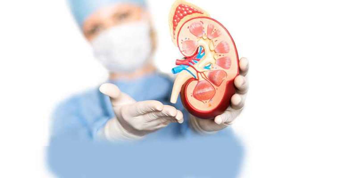 Consult Dr. Niren Rao for Kidney Problems | Best Treatment Results