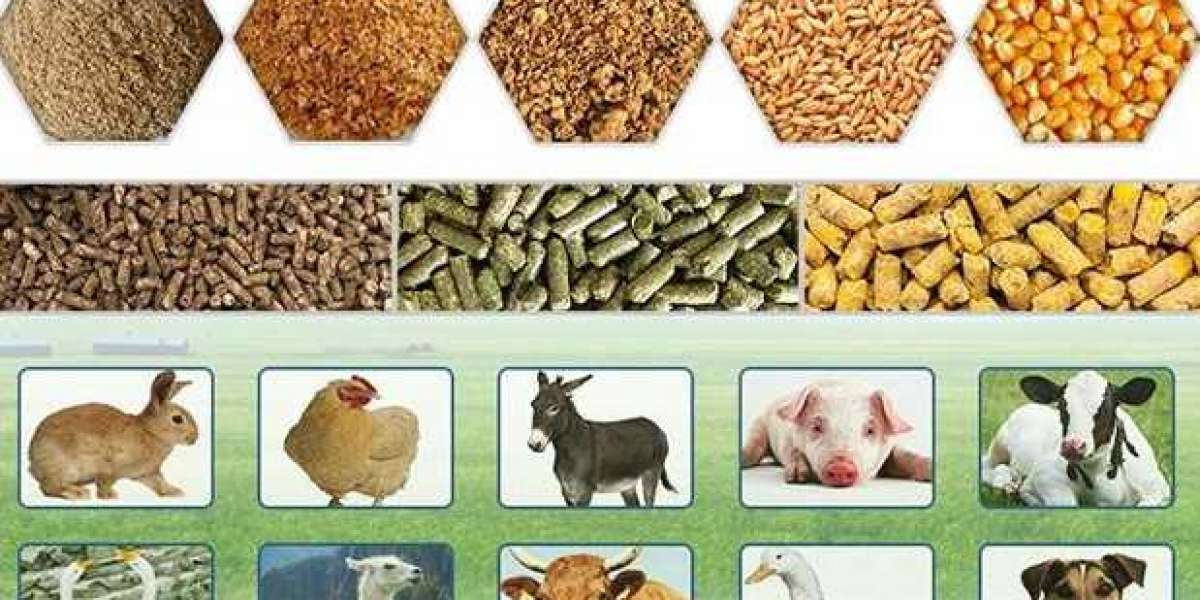 Poultry Feed Market Research, Revenue Share, Drivers & Trends Analysis 2030