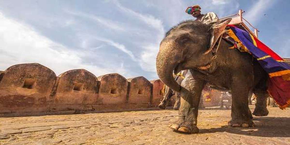 Book Amazing Rajasthan Holiday Tour