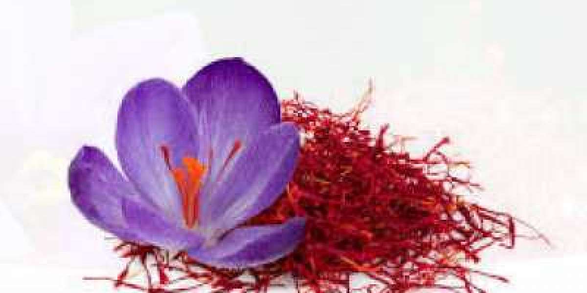 Saffron Market : Top Factors That Are Leading The Demand Around The Global