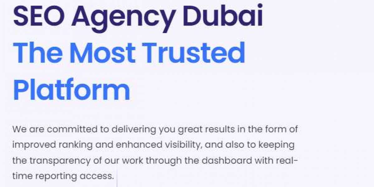 Professional SEO Dubai Agency Services