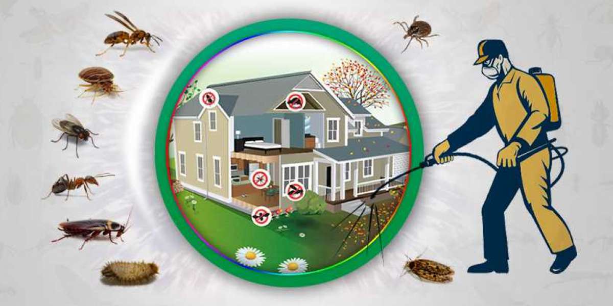 How Much Does Pest Control Cost in Dhaka