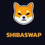 ShibaSwap Home Profile Picture