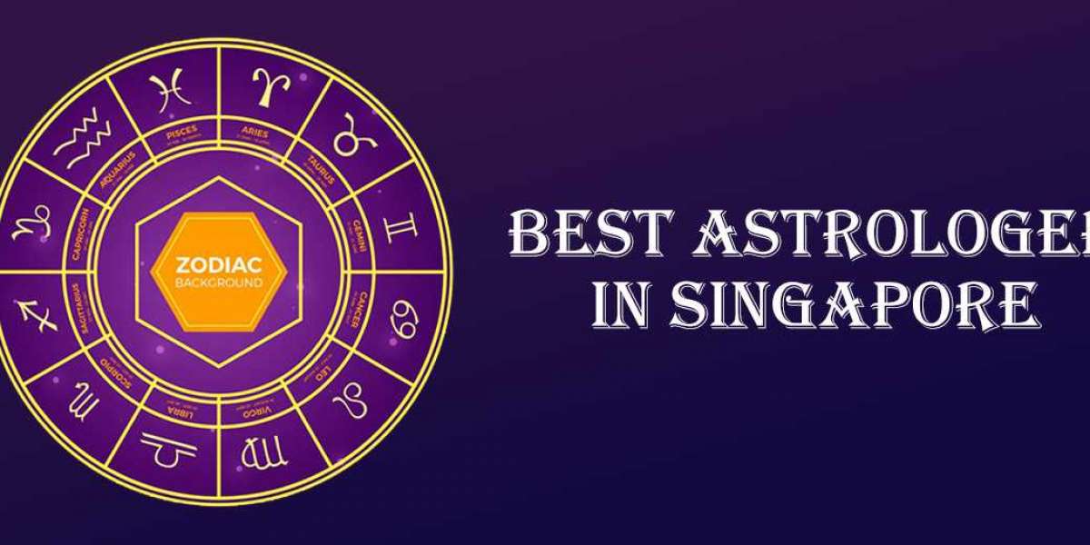 Best Astrologer in Straits View | Famous Astrologer