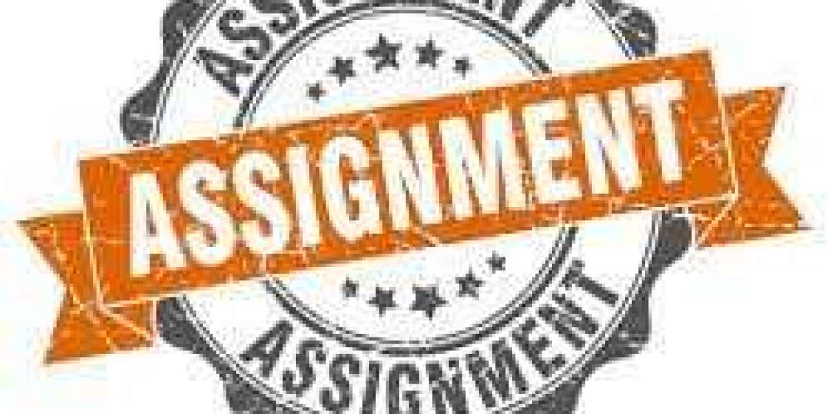 High-Quality Programming Assignment Support Online