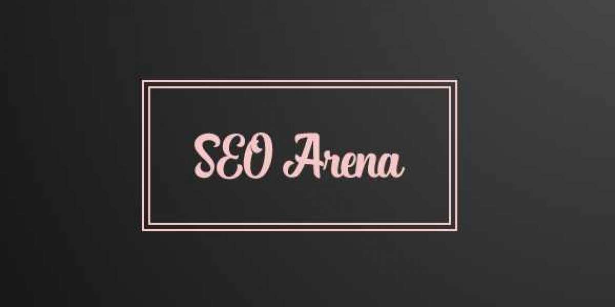 SEO Arena overall performance to discover hassle regions.