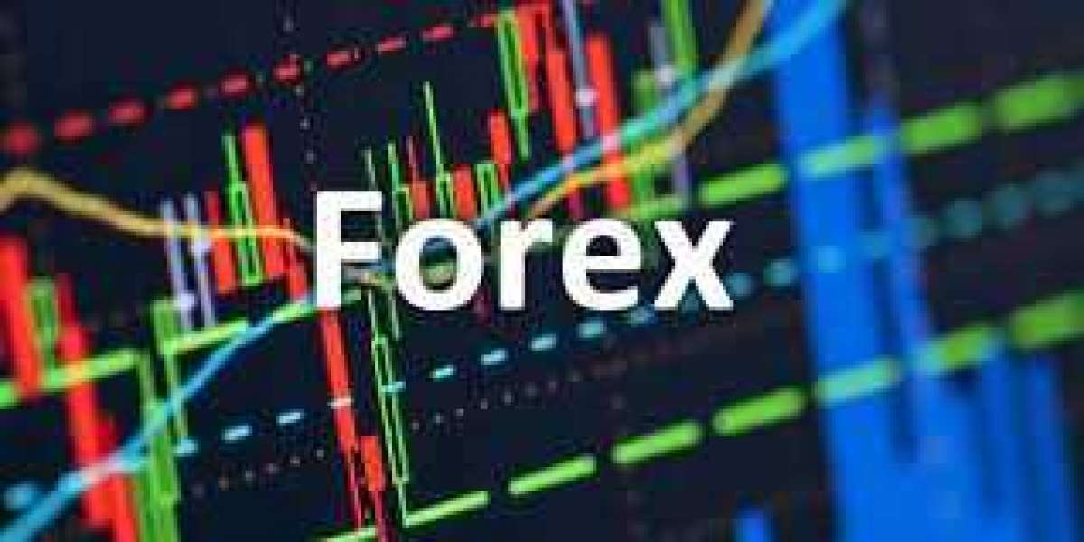 How to Avoid Forex Trading Scams