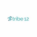 Tribe12 Org Profile Picture