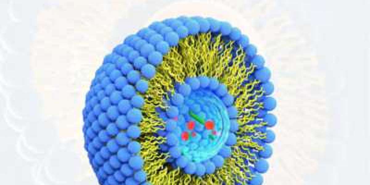 Liposome Drug Delivery Market Industry Improvement Status And Outlook By 2029