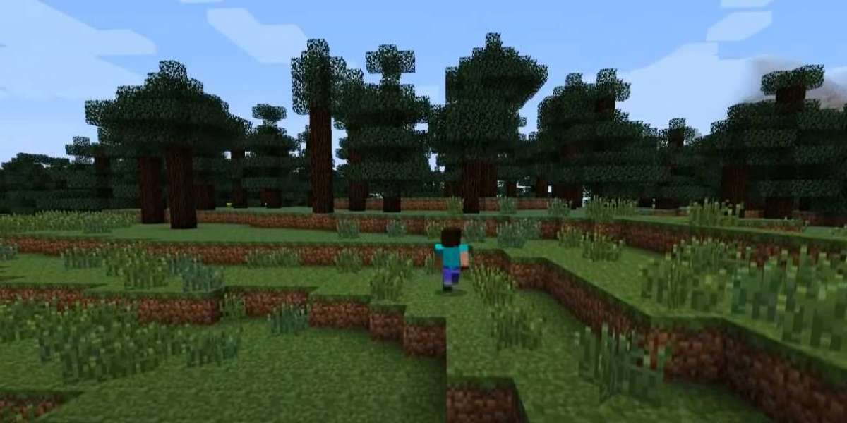 What is Minecraft and Minecraft Guide to Exploration
