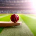 Cricket Addictor Profile Picture