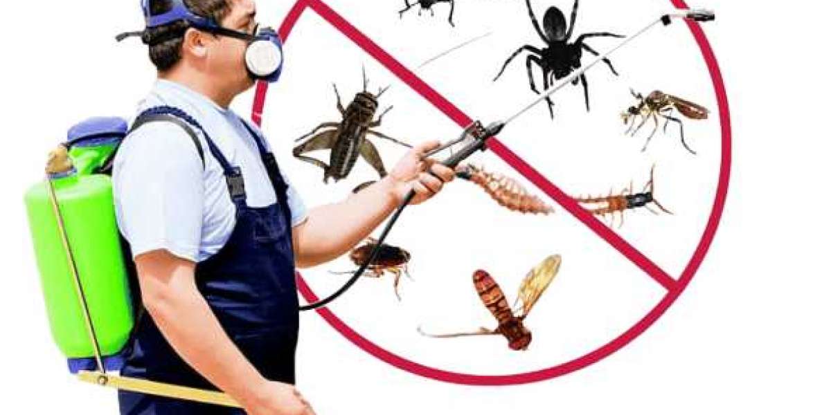 Best Pest Control Company in Dhaka