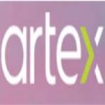 Artex Productions Profile Picture