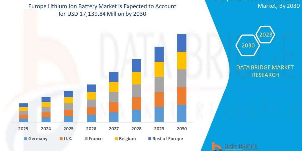 Europe Lithium Ion Battery Market Expected to Witness a Sustainable Growth Over 2030