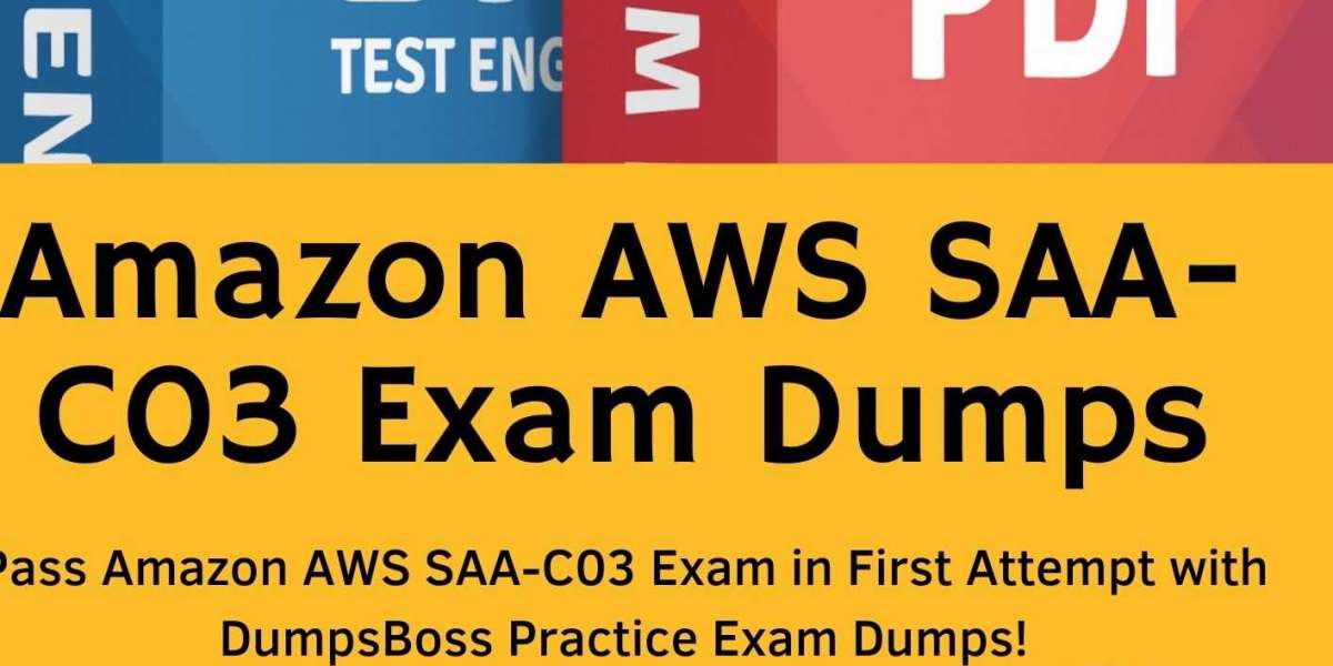 The Top Amazon AWS SAA-C03 Exam Dumps for Any Budget