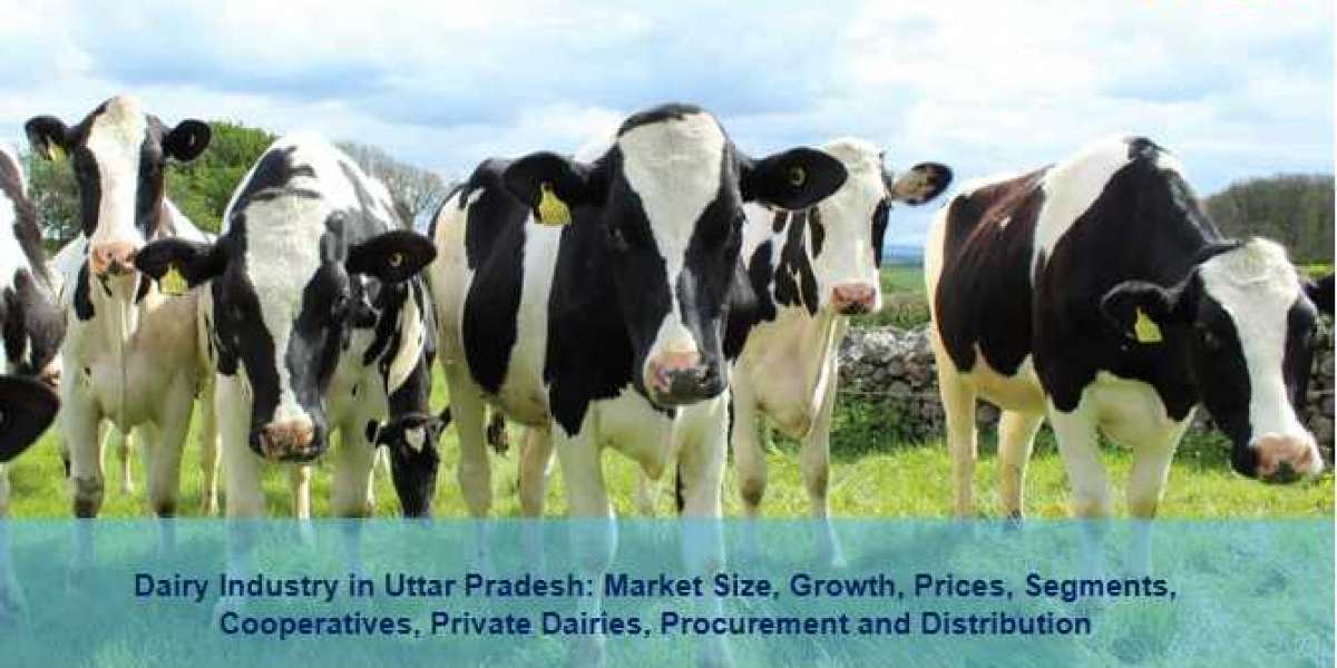 Dairy Industry in Uttar Pradesh 2023-2028: Industry Analysis, Share, Size, Growth and Forecast