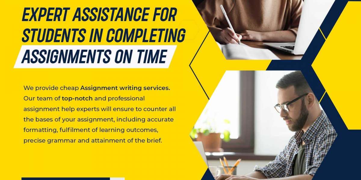 Best Assignment Writing Company For You