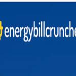 energy billcruncher Profile Picture