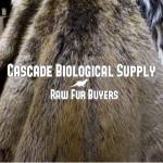 Cascade Biological Supply Profile Picture