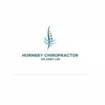 Hornsby Chiropractor - Dr Andy Lee Profile Picture