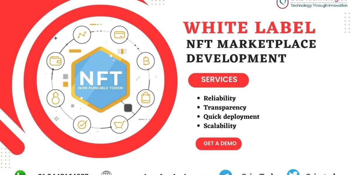 Everything You Need to Know About White Label NFT Marketplace Development