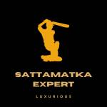 Satta Matka Expert Profile Picture