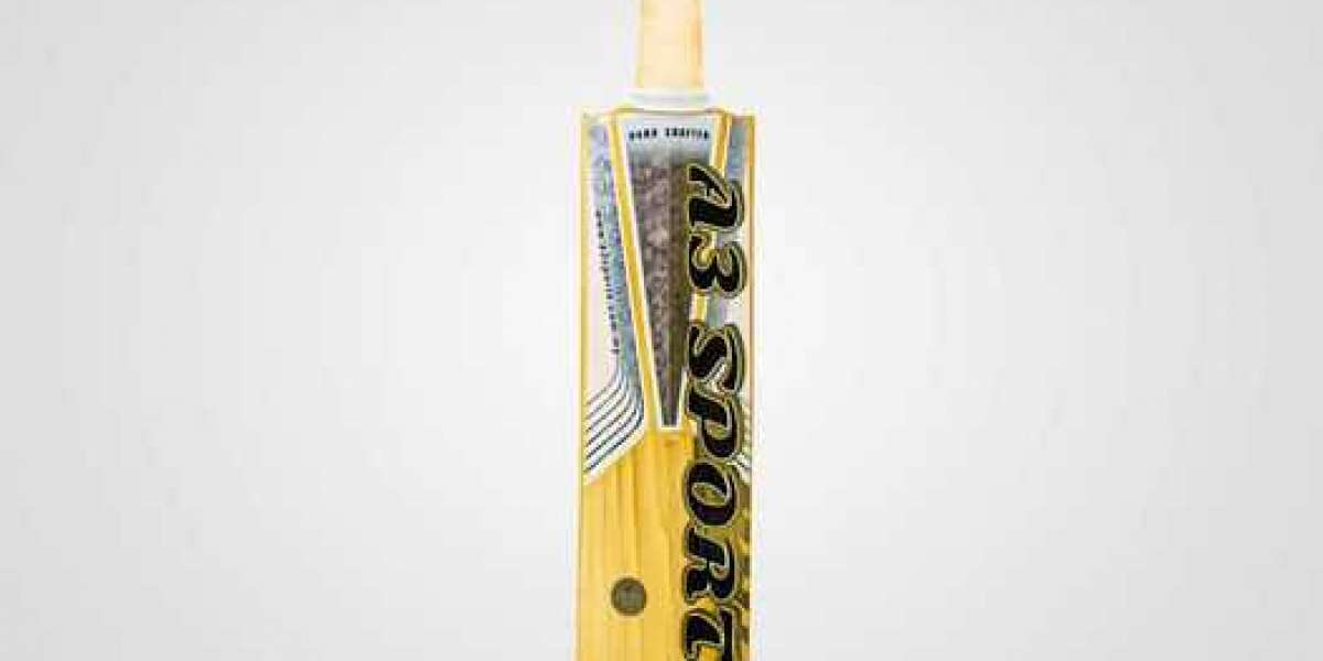 Original English Willow Cricket Bat – Best types of bats available today