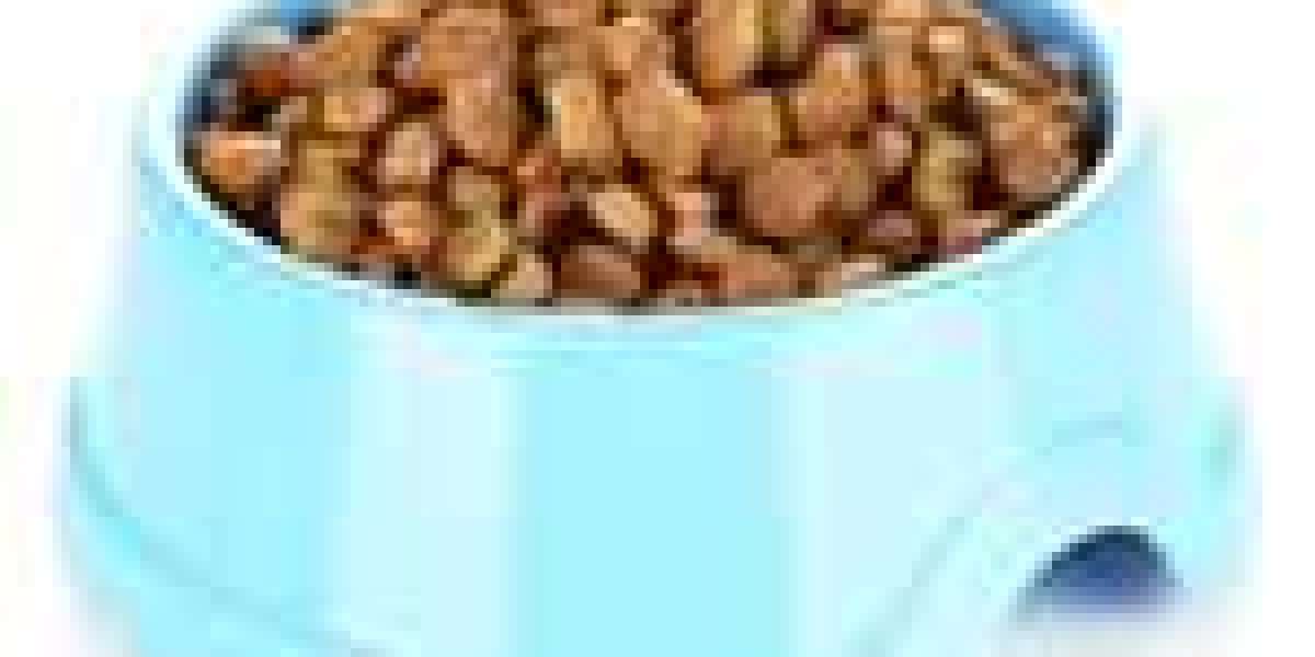 Everything You Need To Know About Dog Food