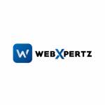 Web Xpertz Profile Picture
