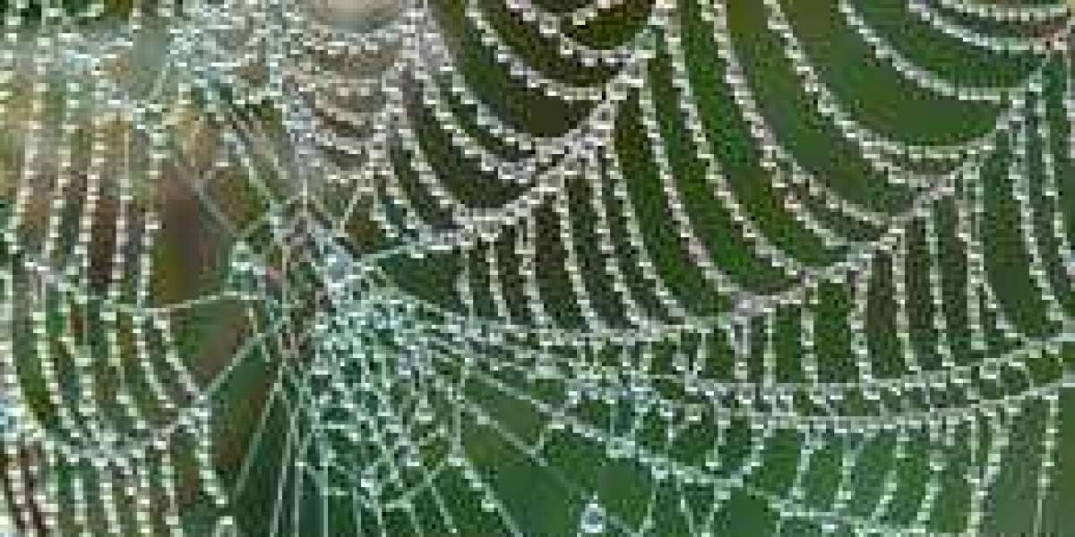 Artificial Spider Silk Market 2023 Trends, Business Opportunities, Future Demand and Forecast 2032
